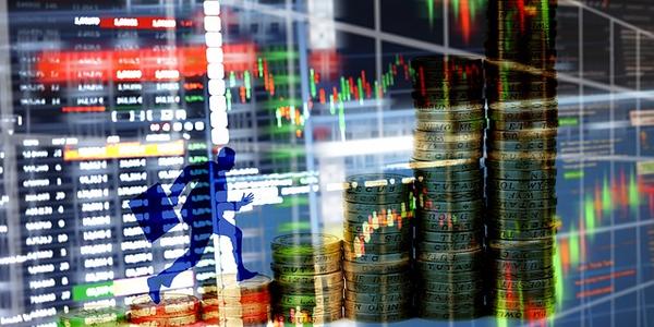 Distribution Solutions Earnings: Key Analyst Questions Reveal Concerns