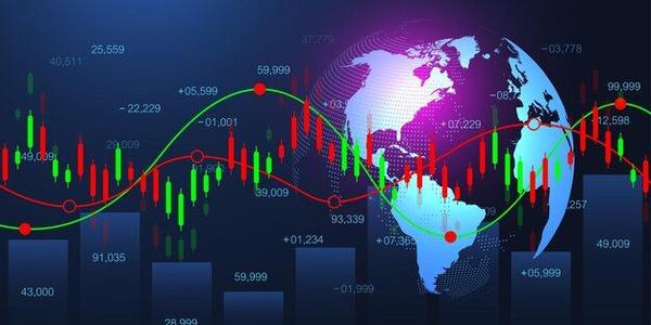Palomar Holdings (NASDAQ:PLMR) Reports Strong Q3, Stock Soars