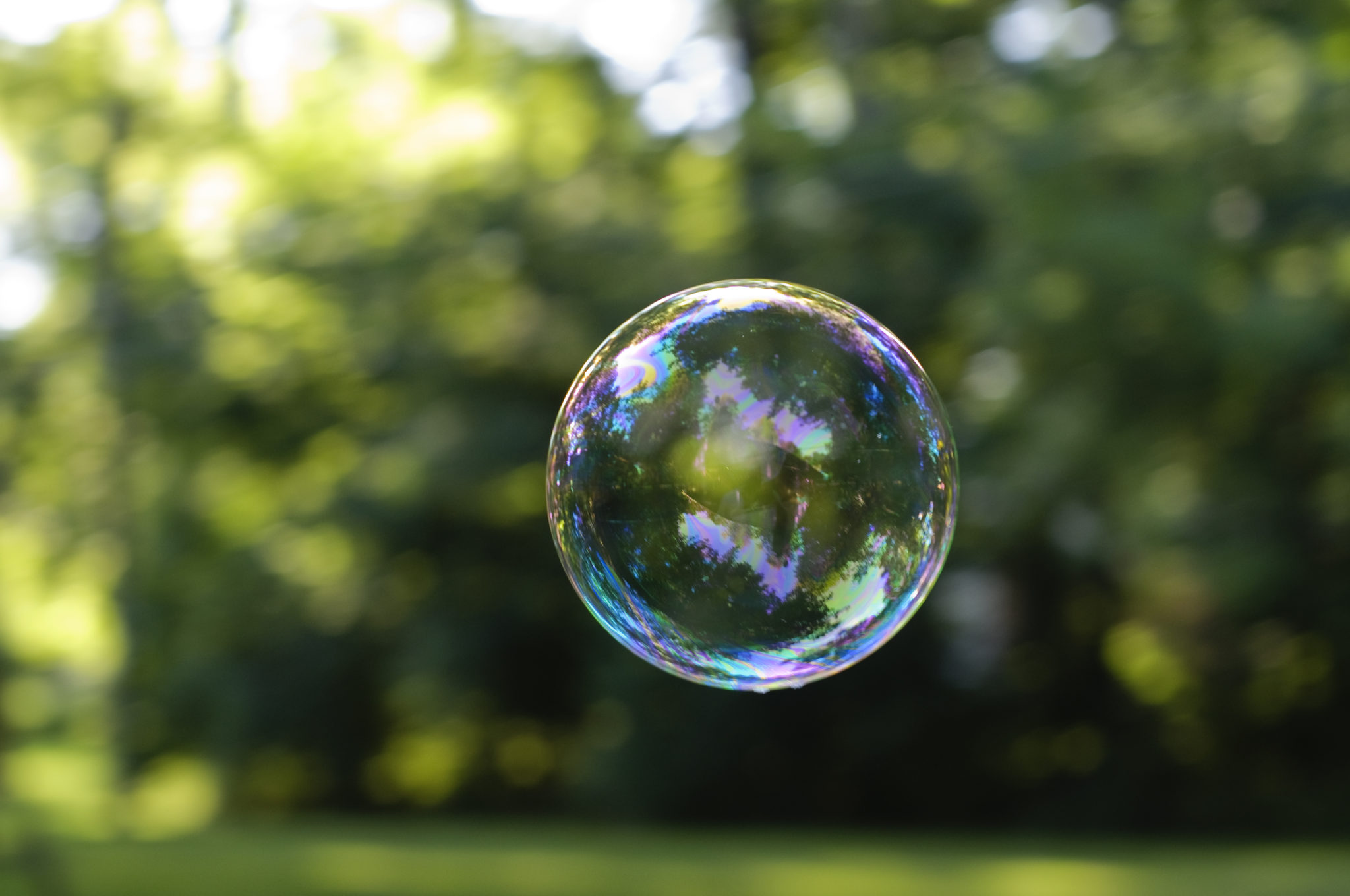 Trend Forecasting to Predict the Next Bubble Burst